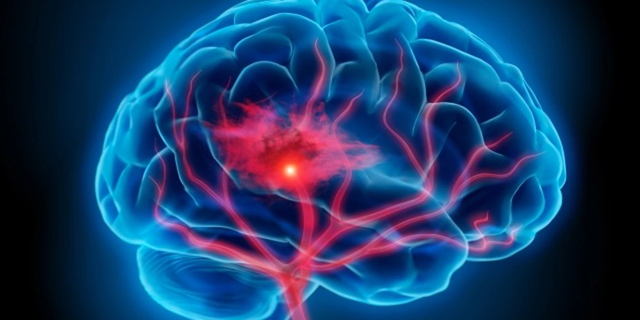 la_amc3adgdala_del_miedo_es_capaz_de_codificar_recuerdos_felices